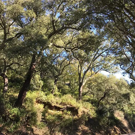 La Apanaora 度假居 *