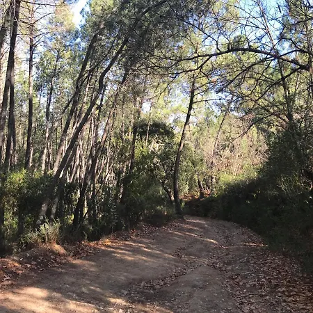 La Apanaora *
